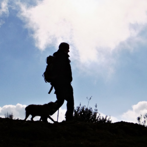 Gerçektende yoruldum