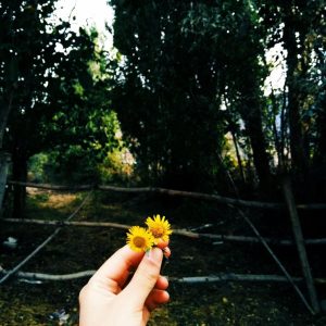 Hayat Perspektifimize Yön Veren Etmenler