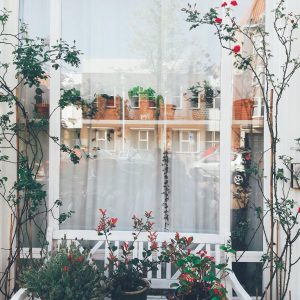 Şimdi Yolculuk Vakti