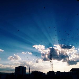 Anlamadım Bu Düzeni