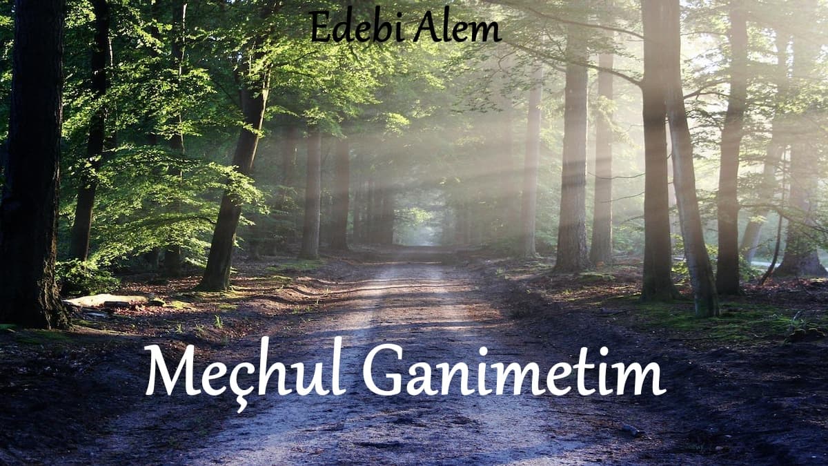 Meçhul Ganimetim