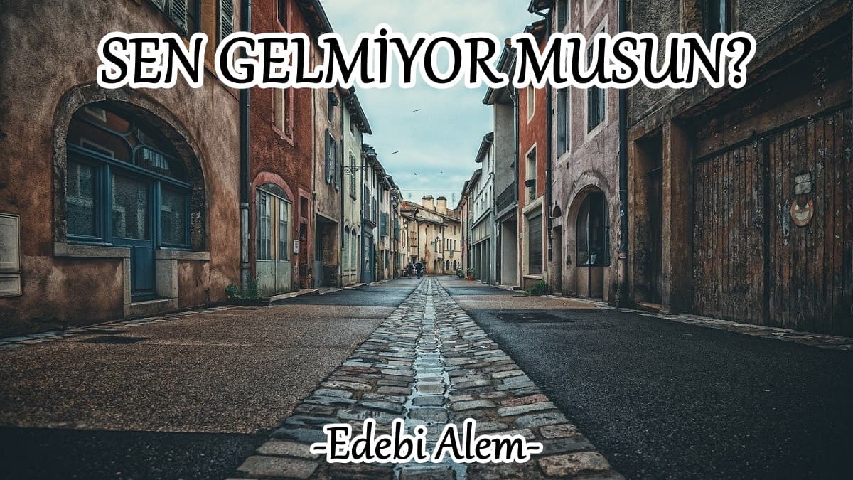 Sen Gelmiyor Musun?