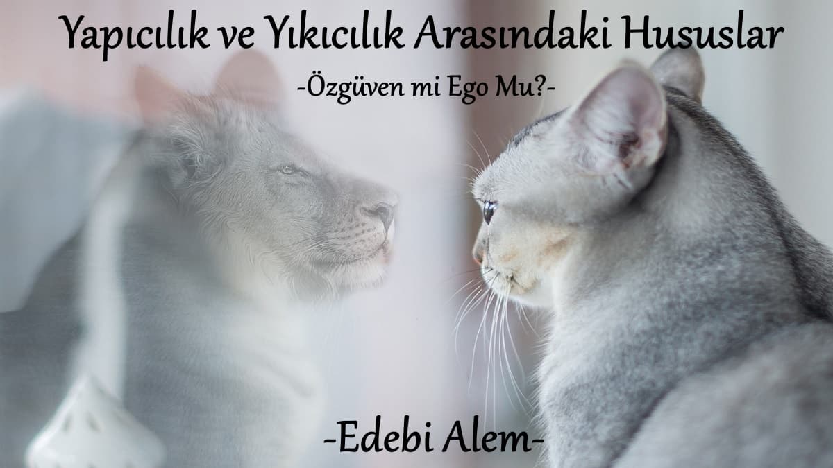 Yapıcılık ve Yıkıcılık Arasındaki Hususlar