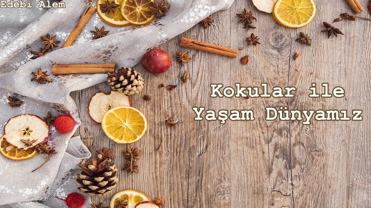 Kokular ile Yaşam Dünyamız