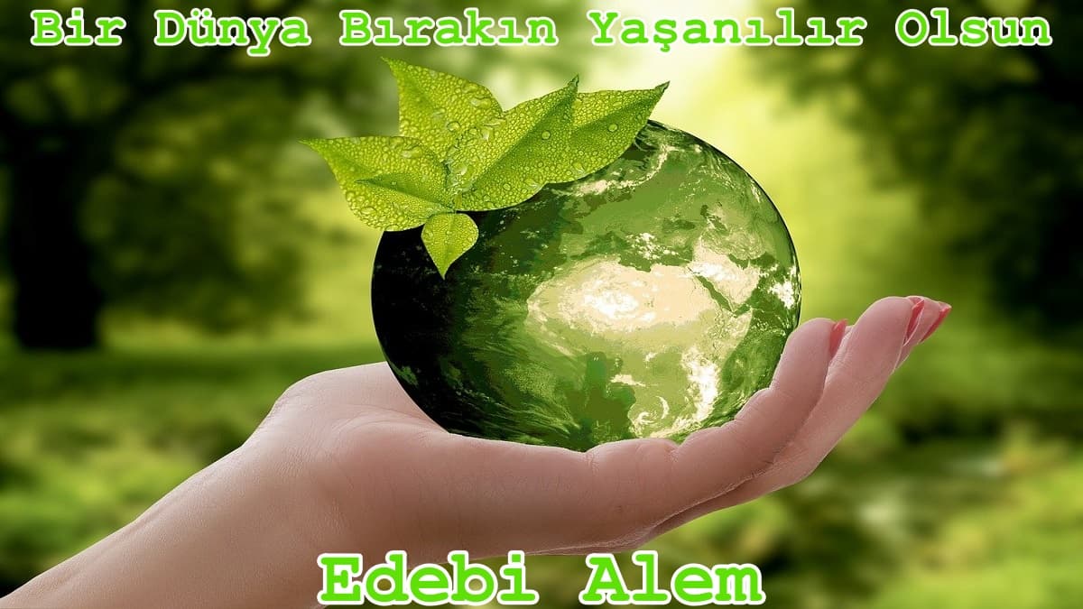 Bir Dünya Bırakın Yaşanılır Olsun