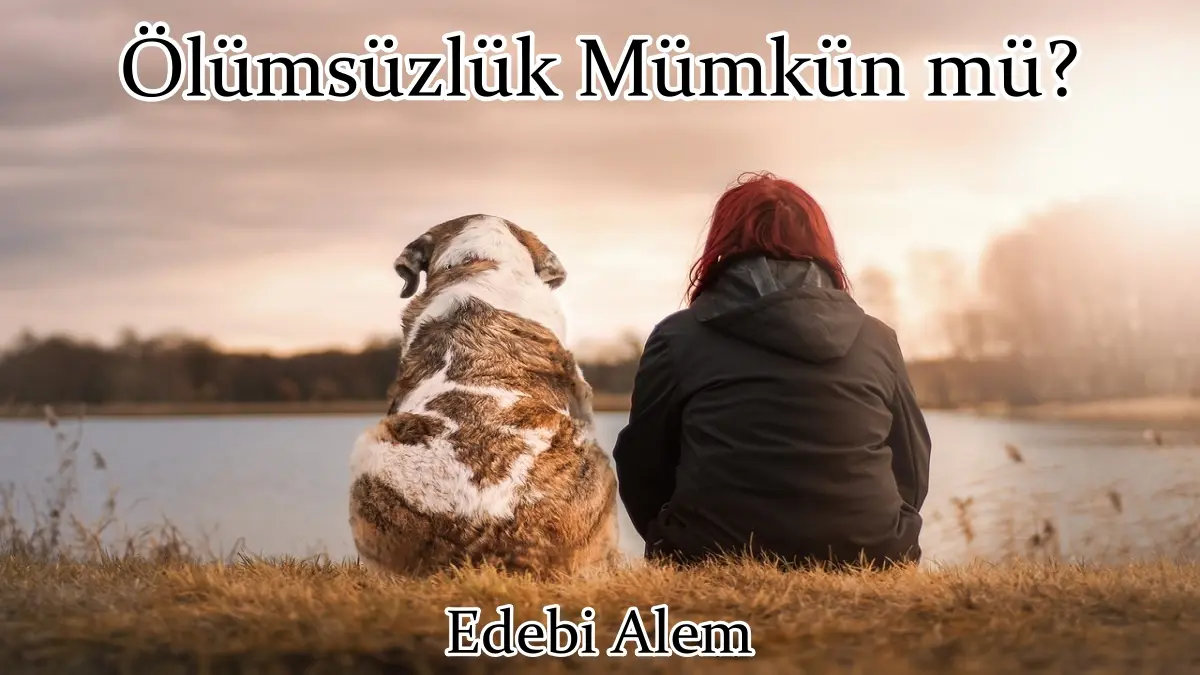 İnsanlar ve Hayvanlar