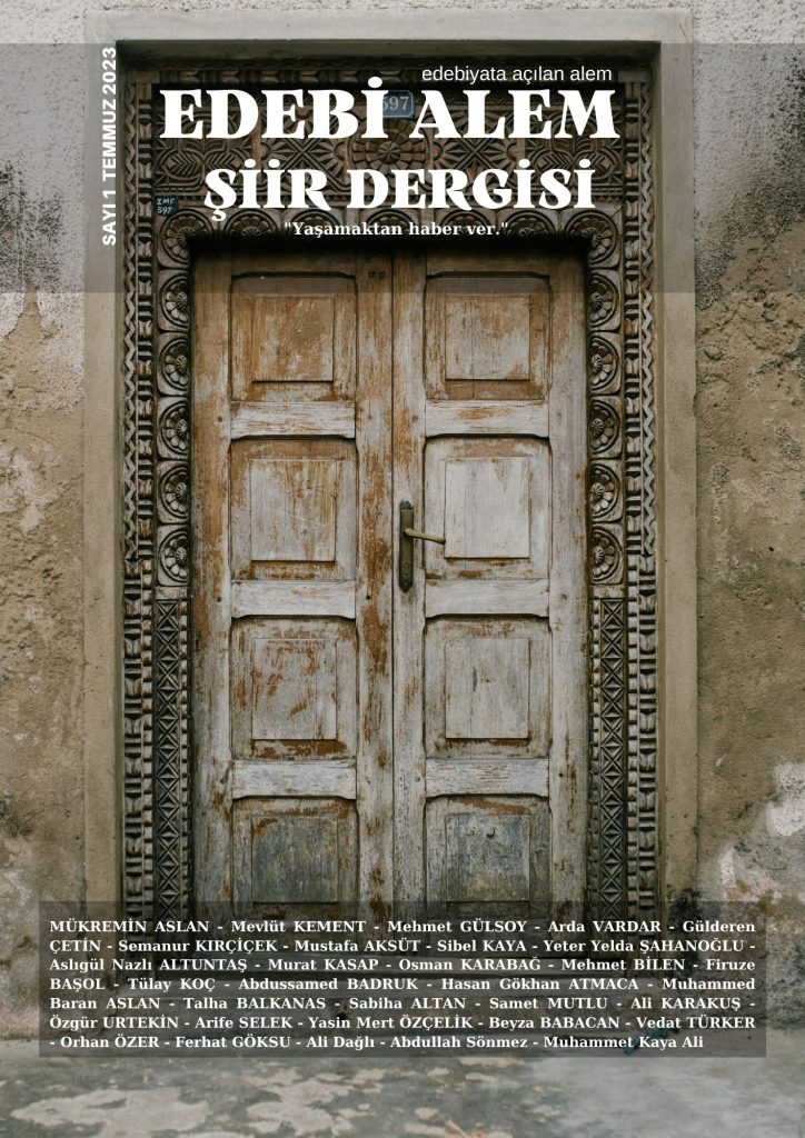 Edebi Alem Şiir Dergisi 1. Sayı
