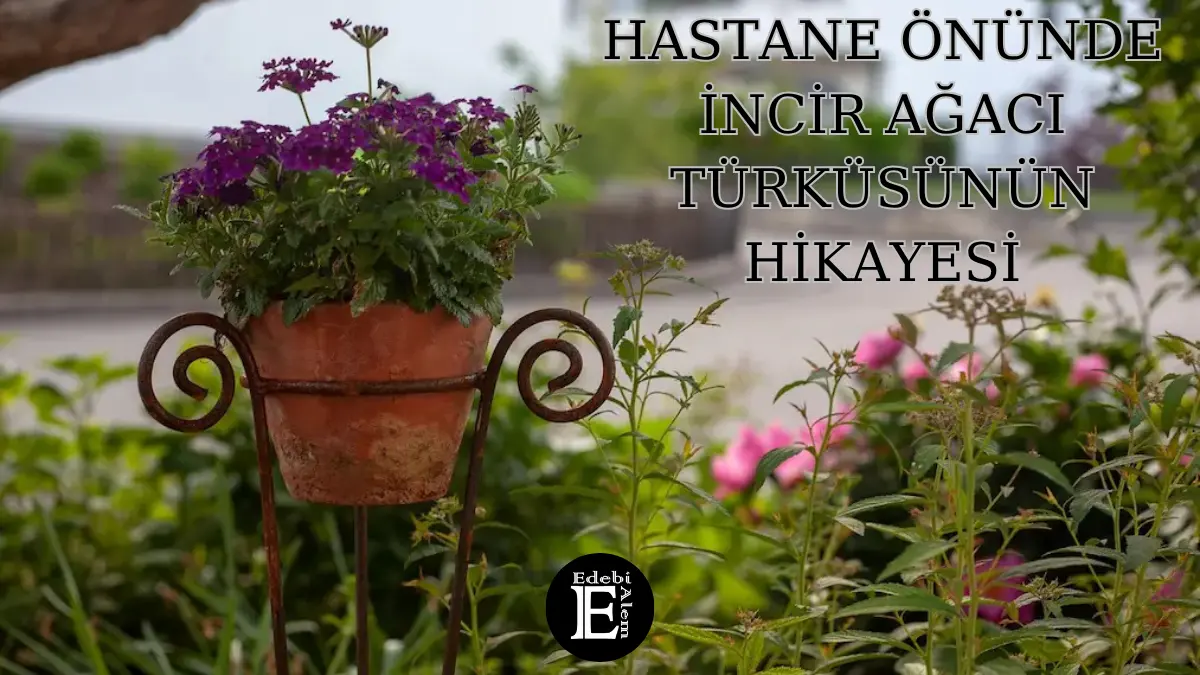 Hastane Önünde İncir Ağacı Türküsünün Hikayesi
